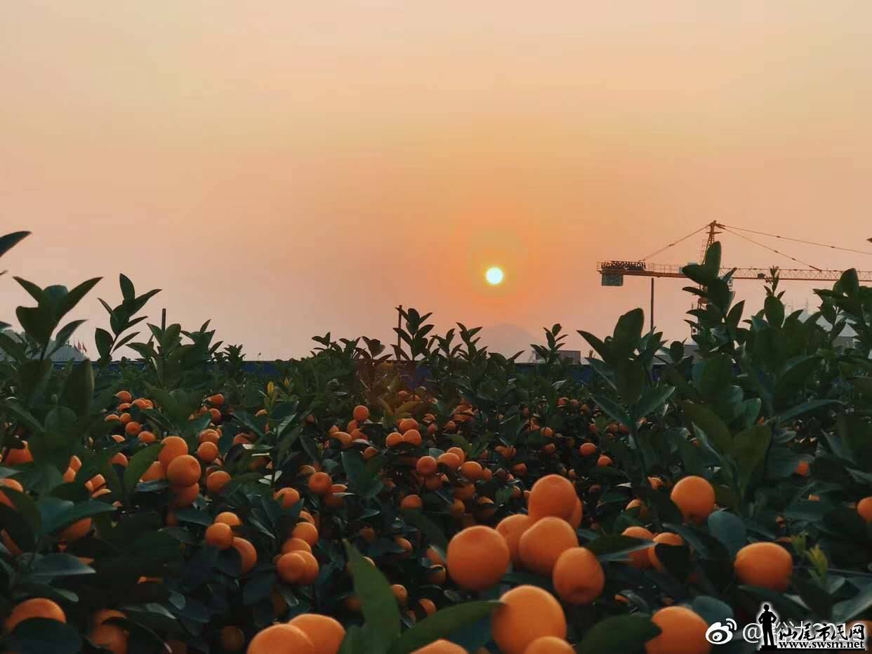 wechat_upload15485198395c4c899f9b06c