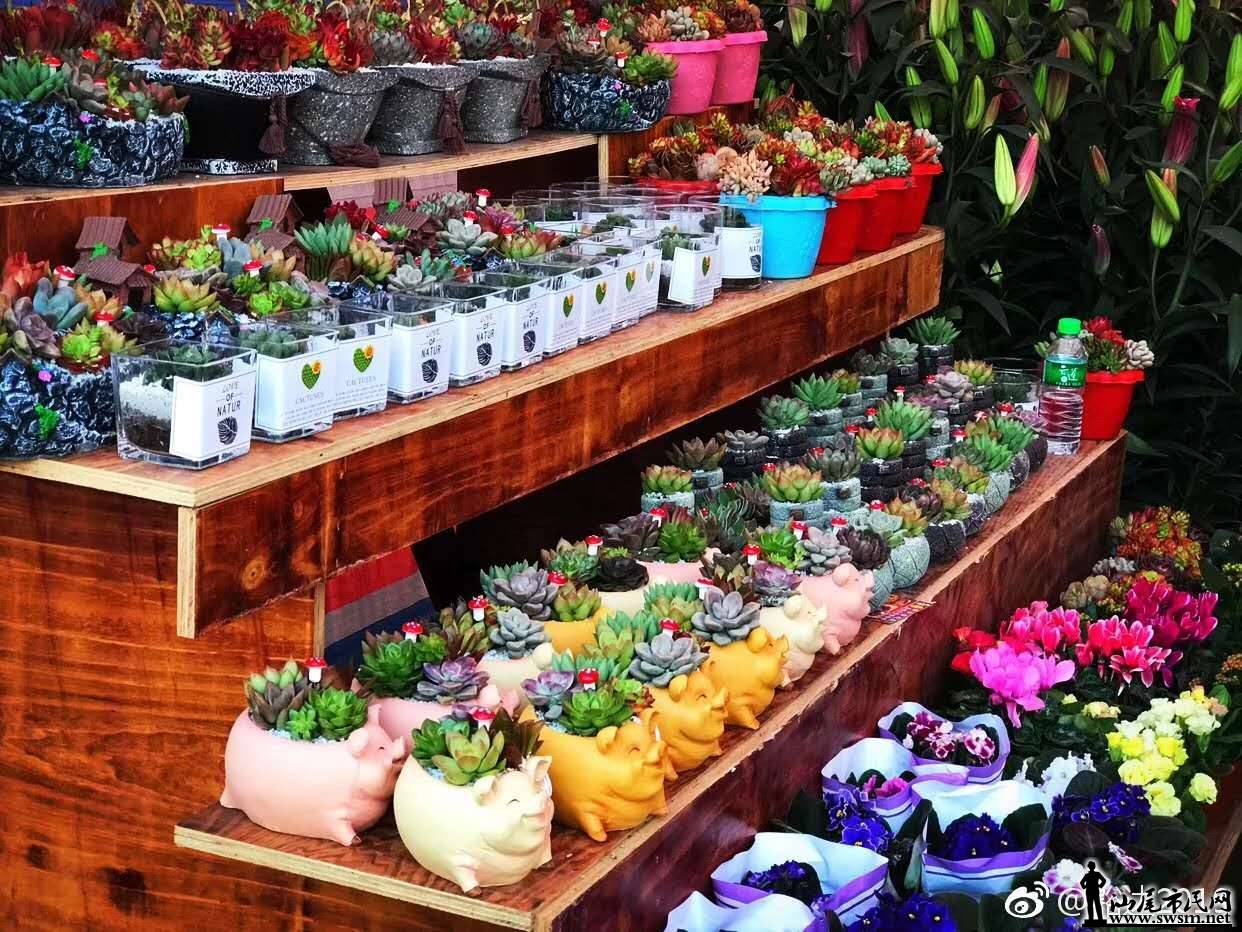 wechat_upload15485198395c4c899f3e0a6