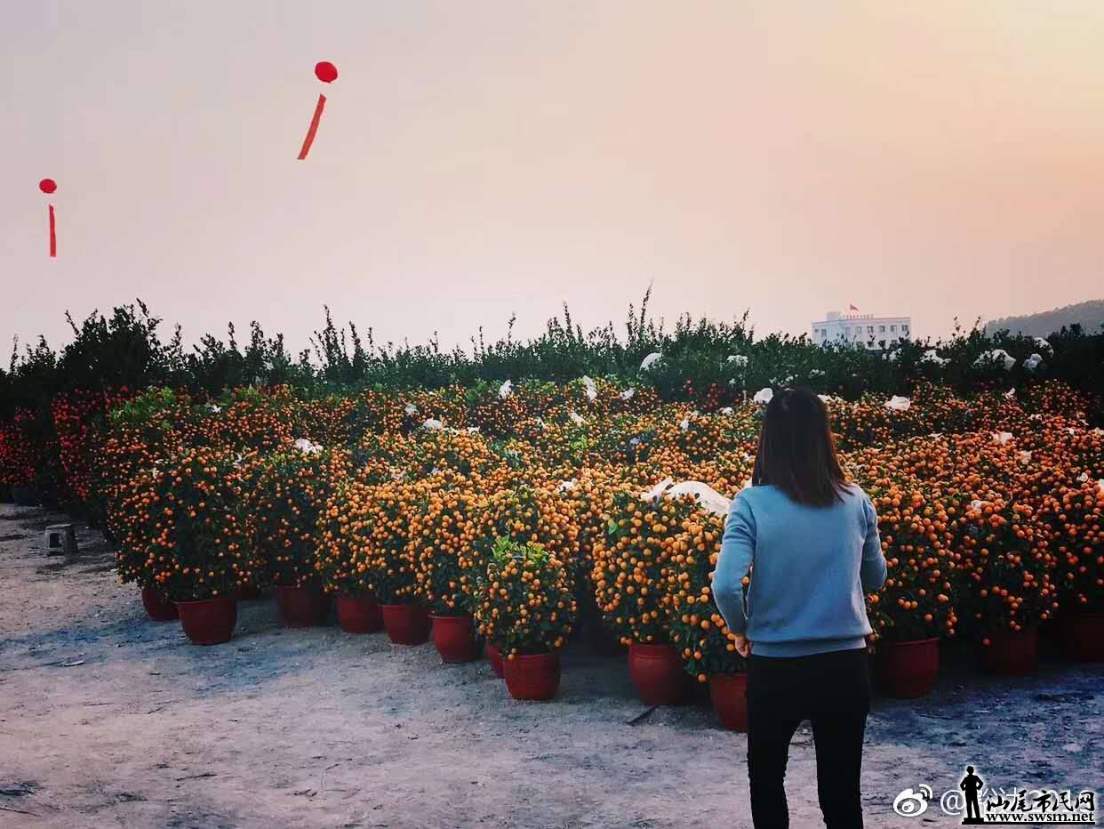 wechat_upload15485198405c4c89a03b7be