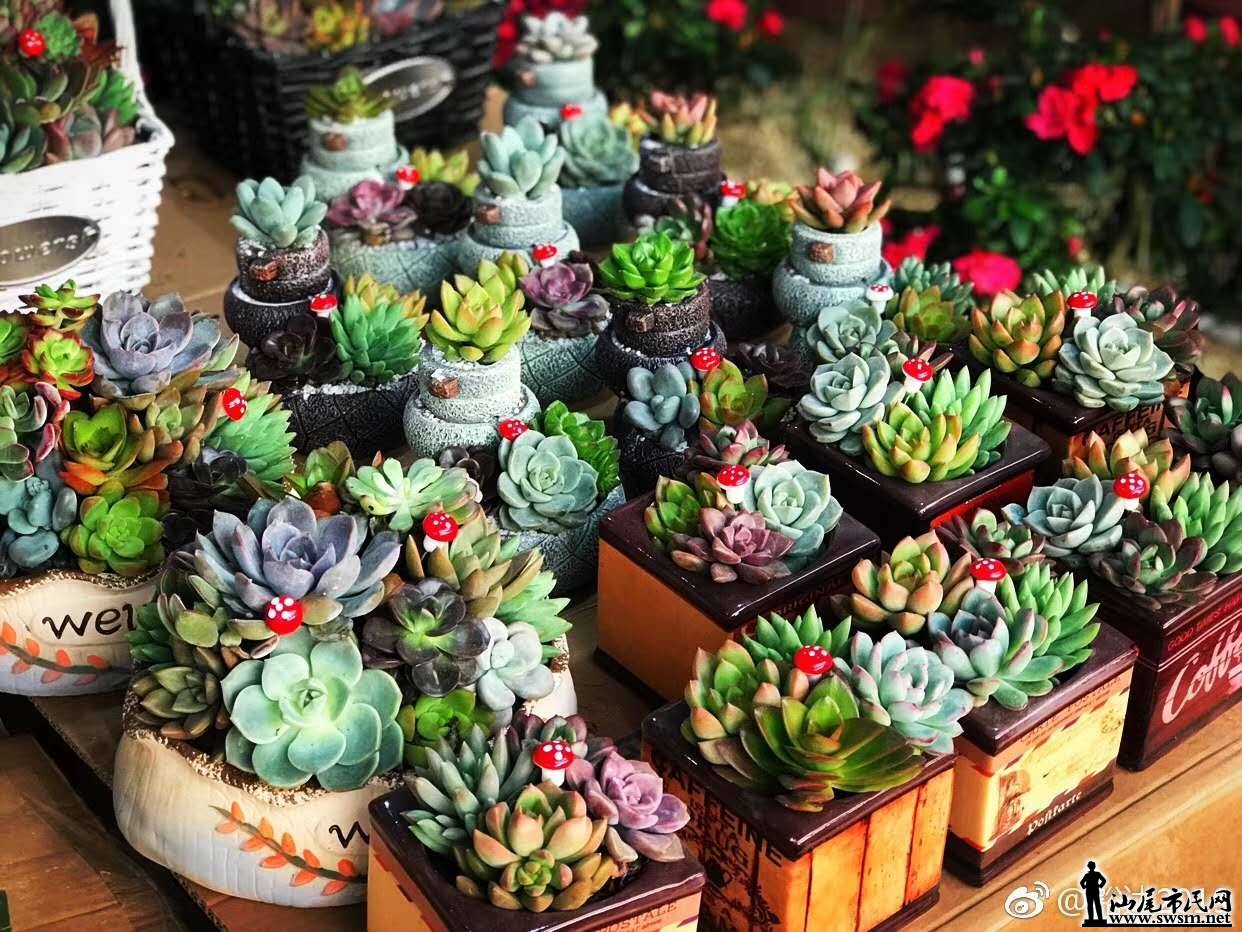 wechat_upload15485198405c4c89a00a810