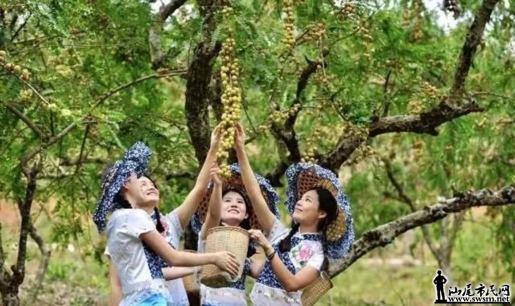 wechat_upload15489318595c52d313e0757