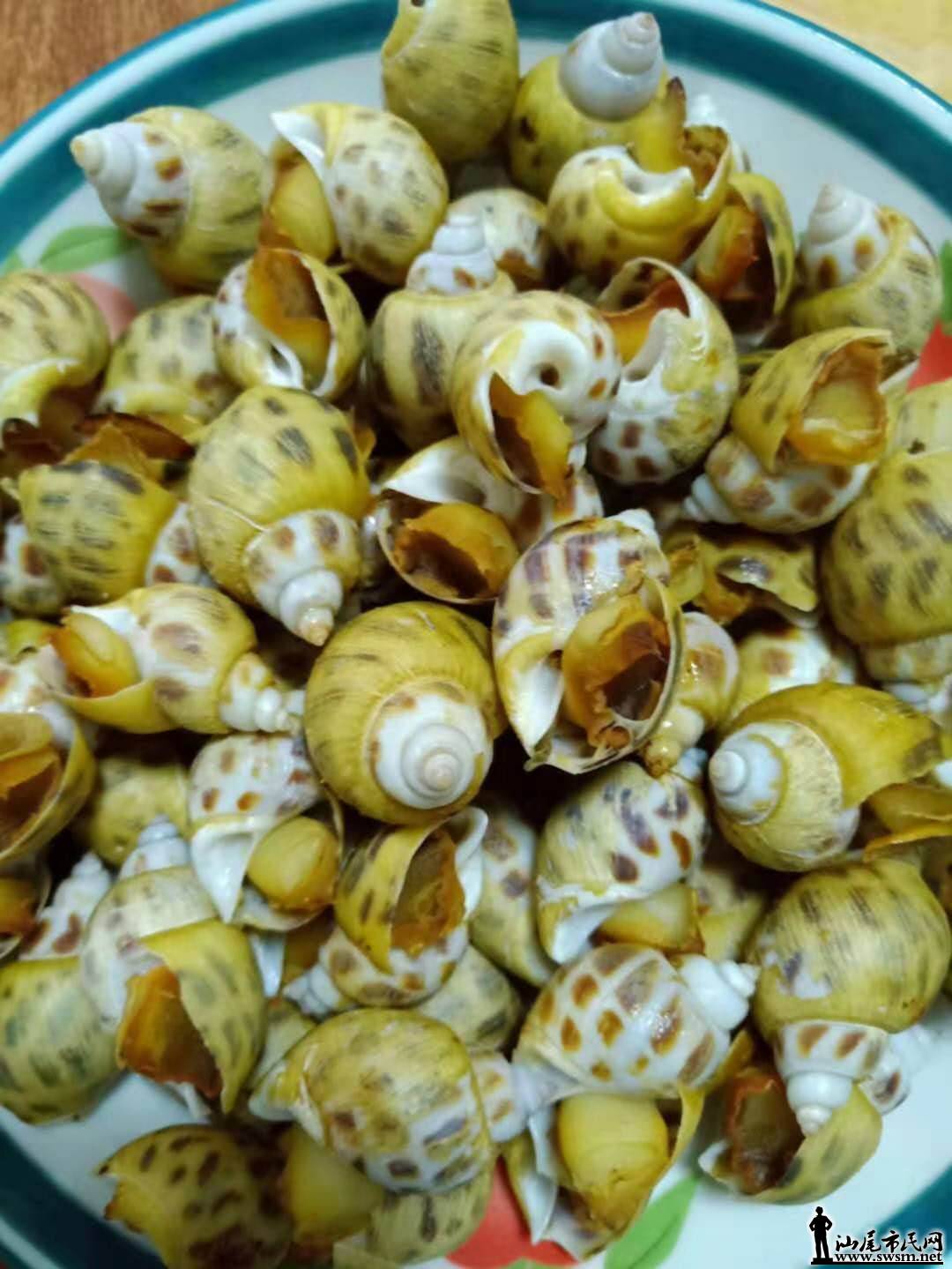 wechat_upload15510338375c72e5ed6a805