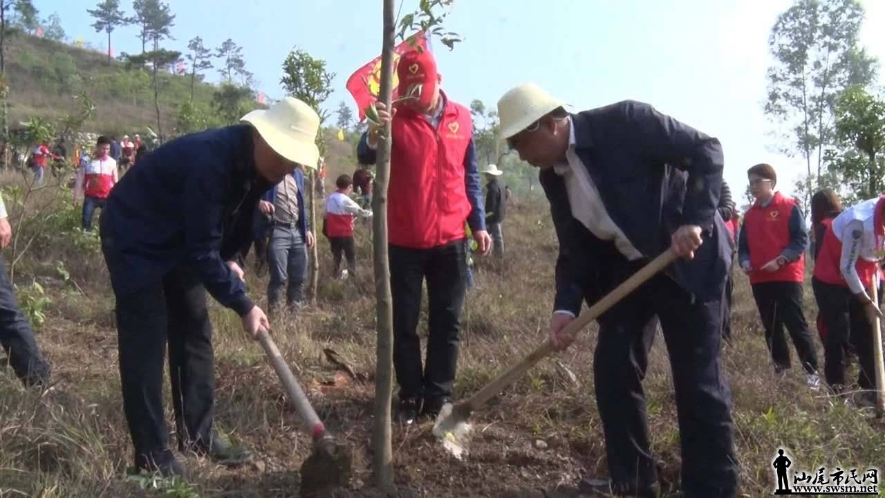 wechat_upload15523938195c87a65b79ff4