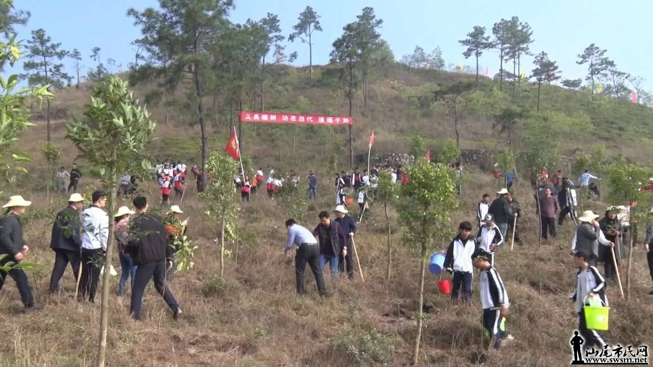 wechat_upload15523938195c87a65b4bb25