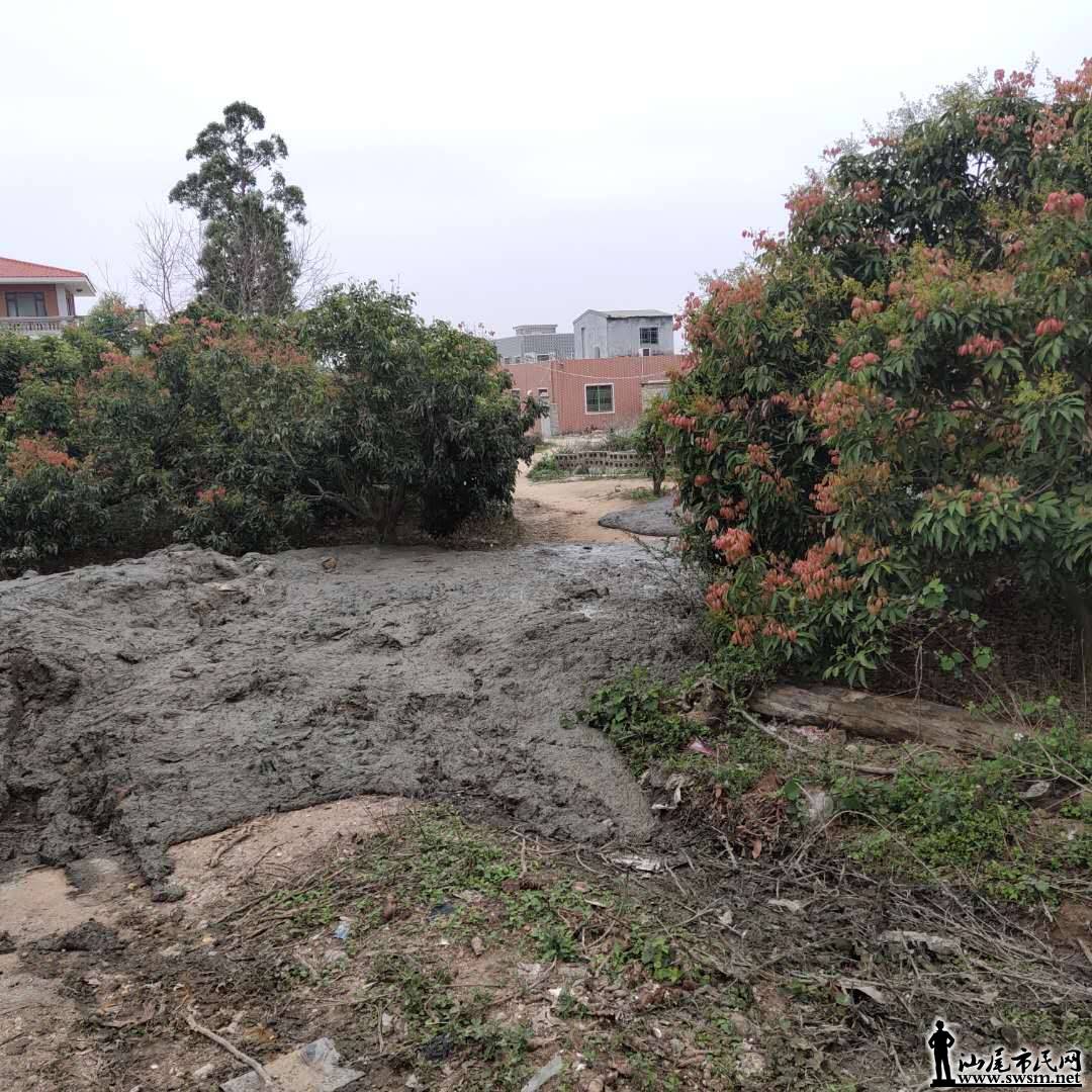 wechat_upload15539457005c9f54646f5d4