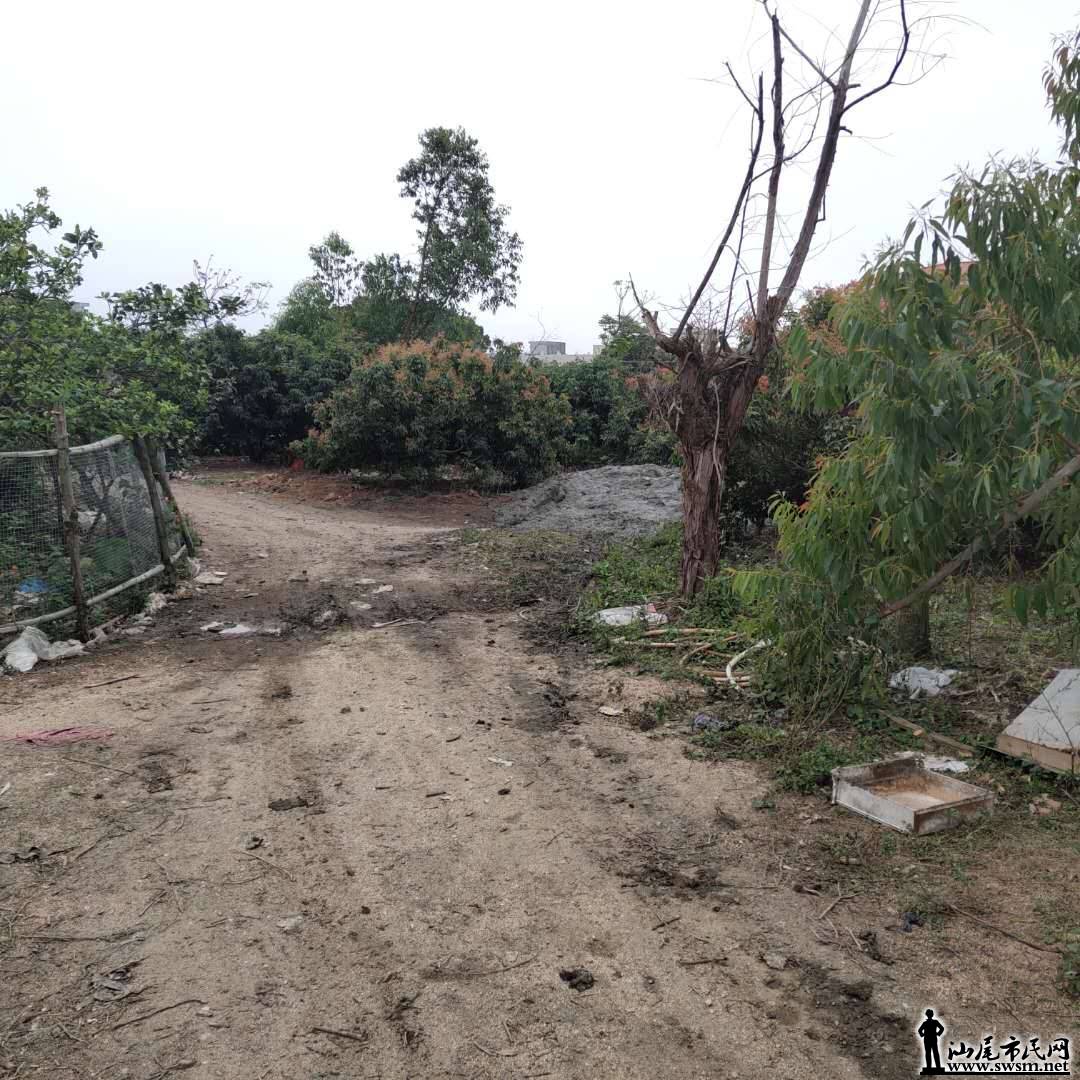 wechat_upload15539457005c9f5464a8216