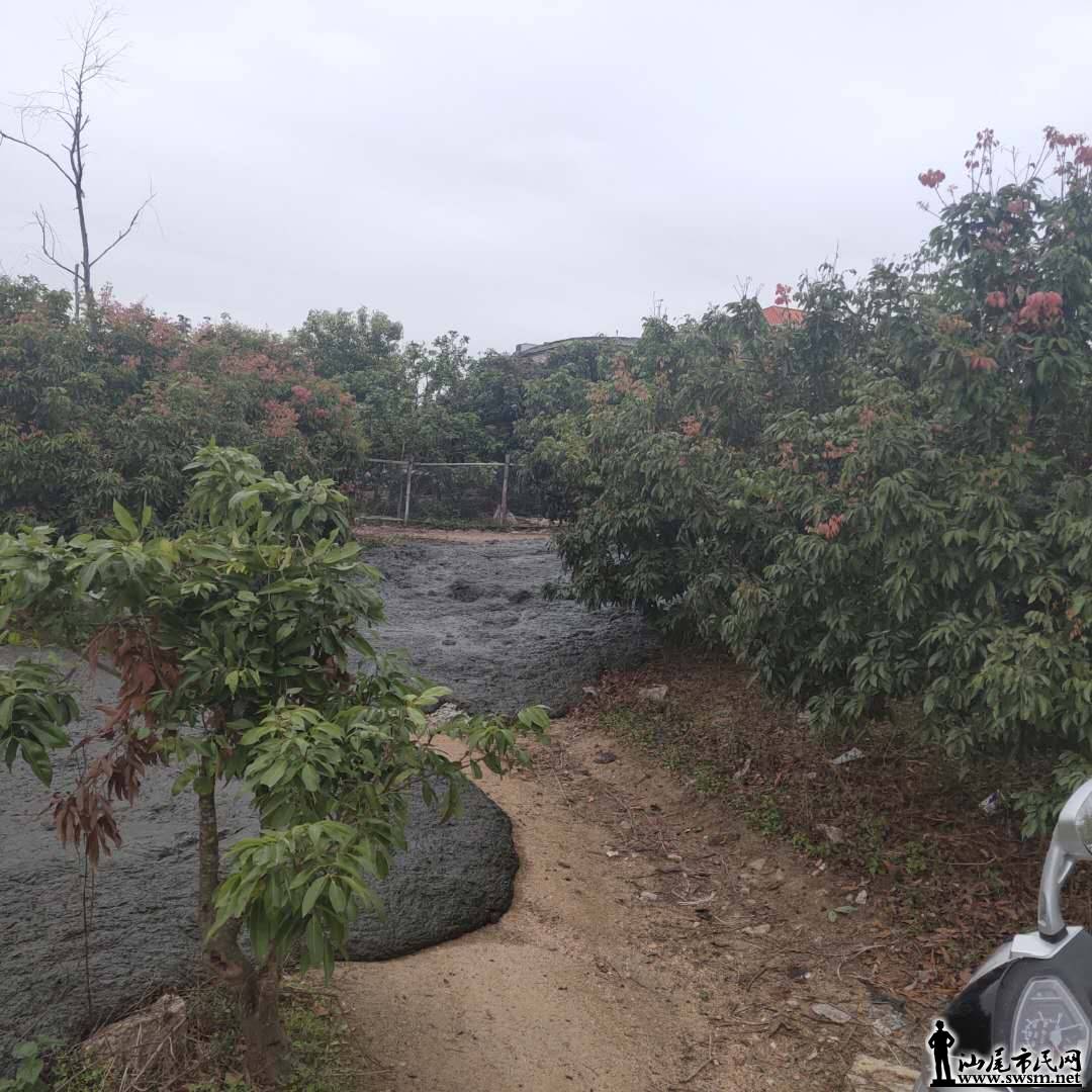 wechat_upload15539457015c9f54653d210