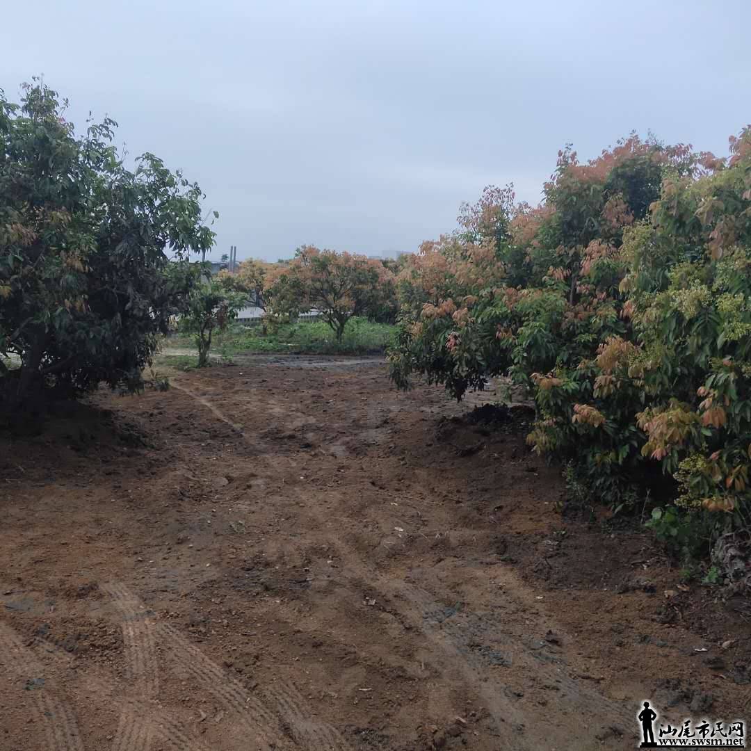 wechat_upload15540270835ca0924be969c