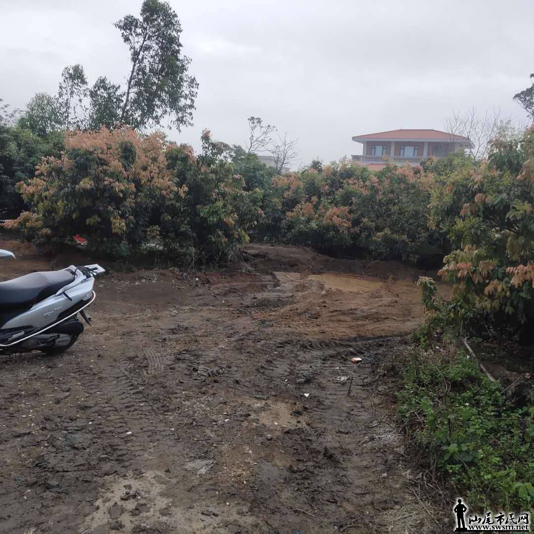 wechat_upload15540270835ca0924b7fe8f