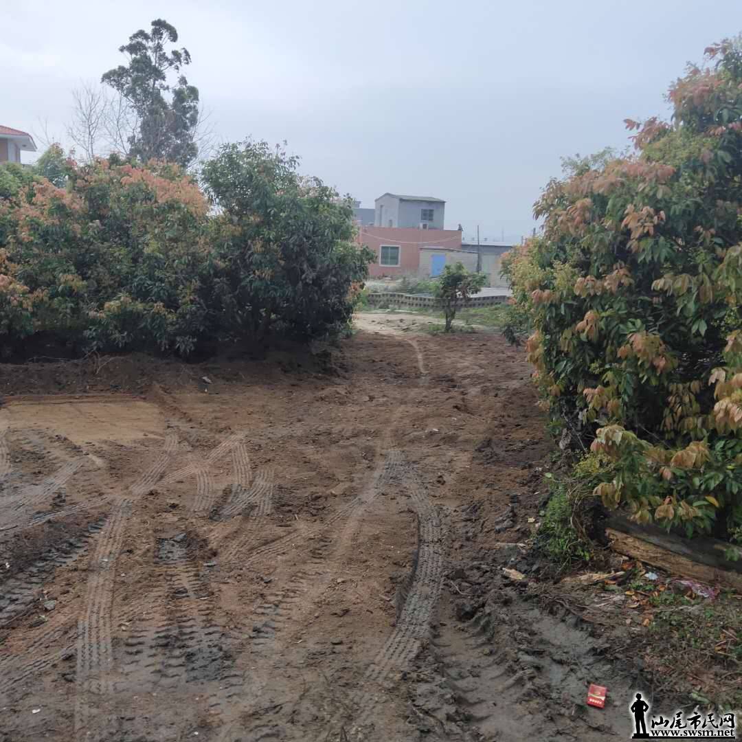 wechat_upload15540270845ca0924c84b44