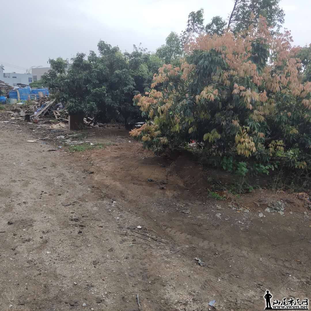 wechat_upload15540270845ca0924cbea5a