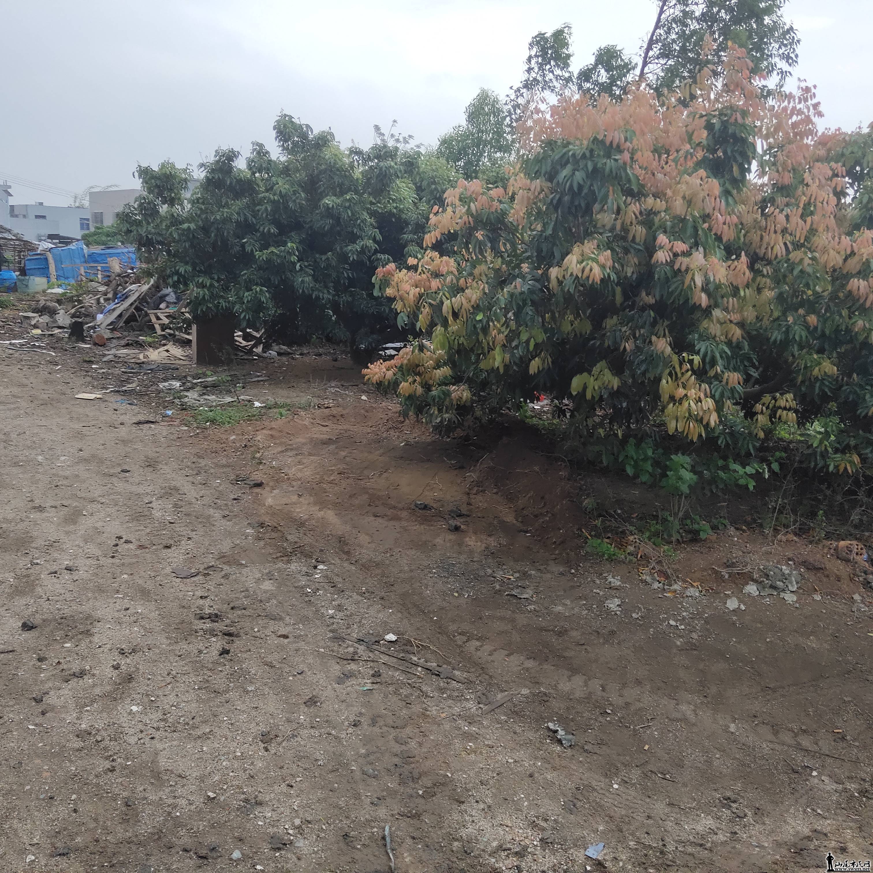 wechat_upload15540277545ca094ea99c25