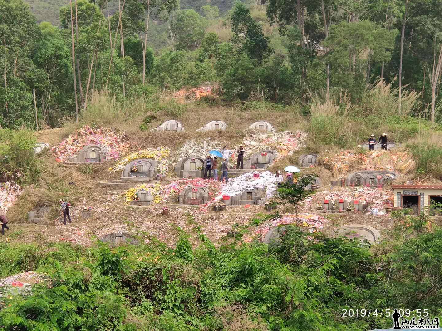 wechat_upload15546011235ca954a3d5cae