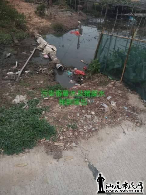 wechat_upload15552578255cb359e12550a