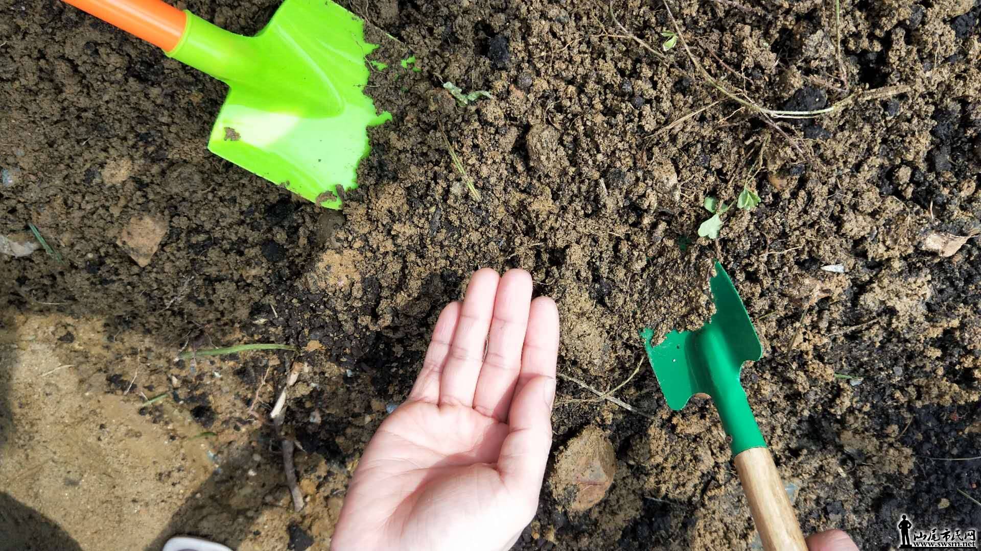 wechat_upload15563736425cc4608a31750