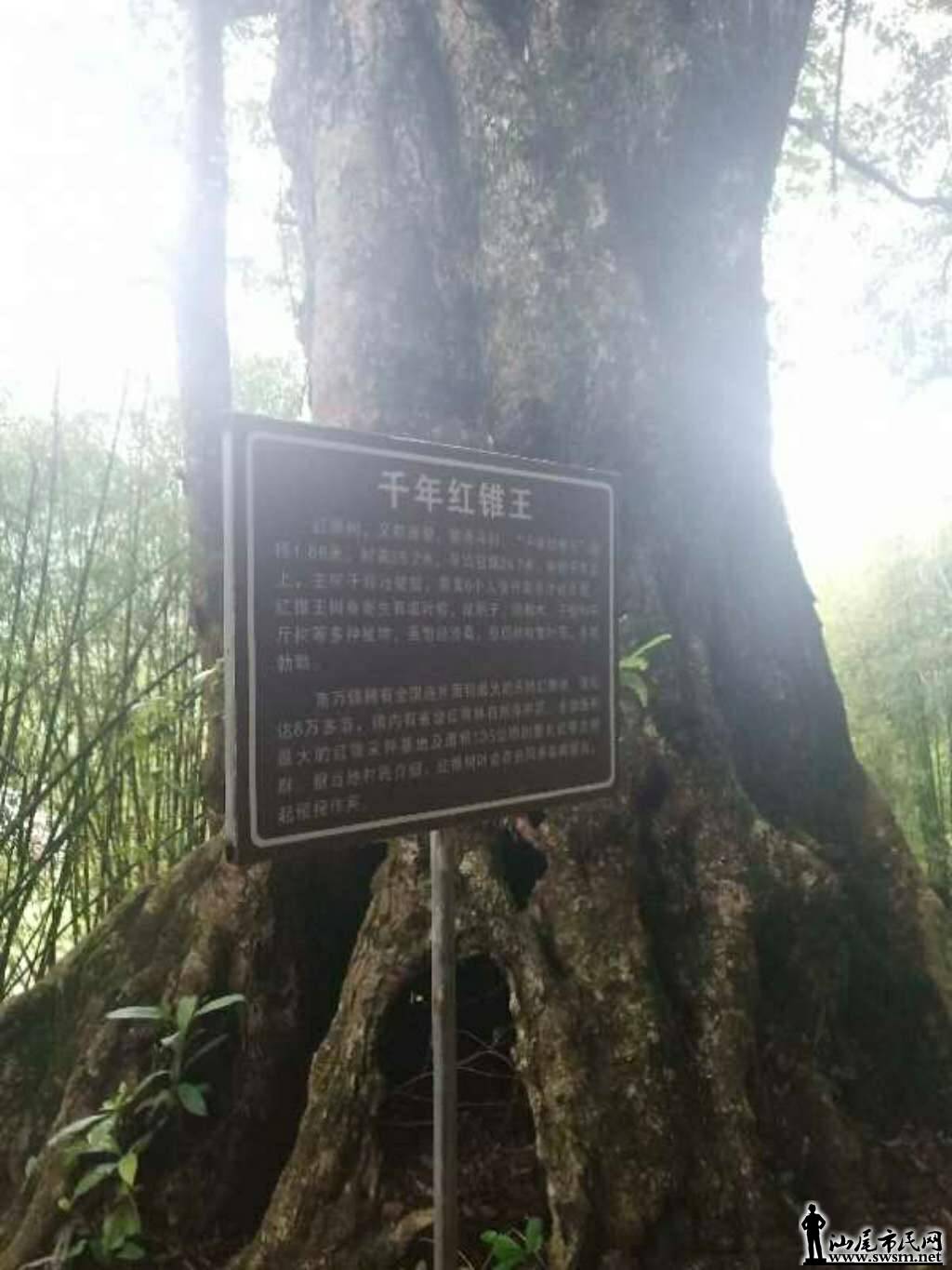 wechat_upload15567234125cc9b6d4bd2b2