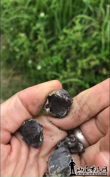 ������ϡ�����³��ִ�����