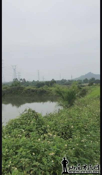 ������ϡ�����³��ִ�����