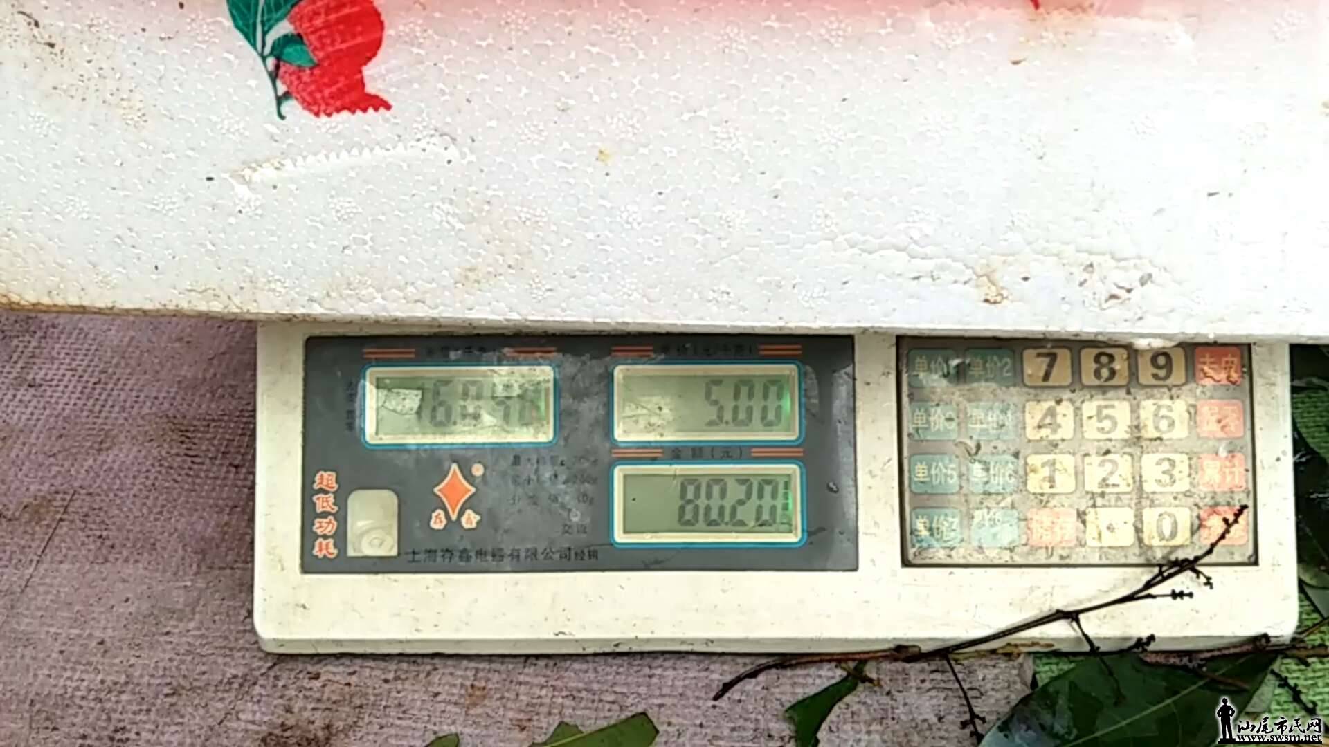 wechat_upload15592957365cf0f6f8d16e7