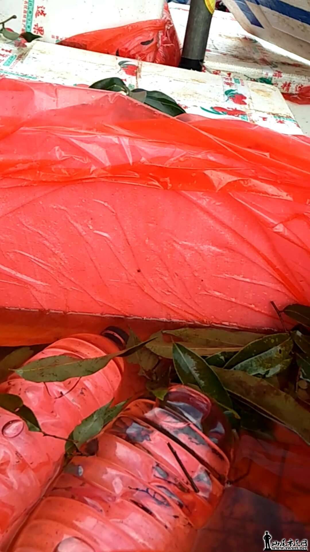 wechat_upload15592957365cf0f6f89869c