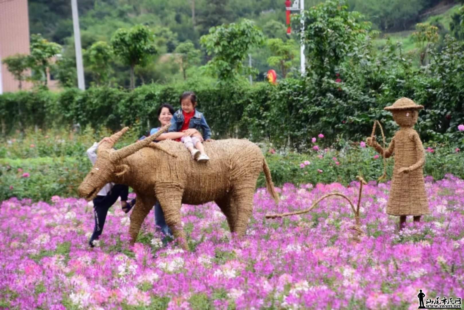 wechat_upload15649877425d47d15e87a47