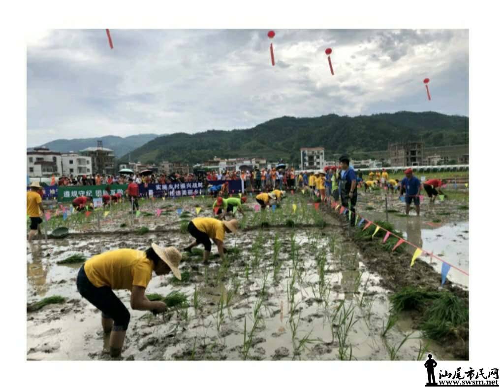 wechat_upload15655218695d4ff7cd2ea8c