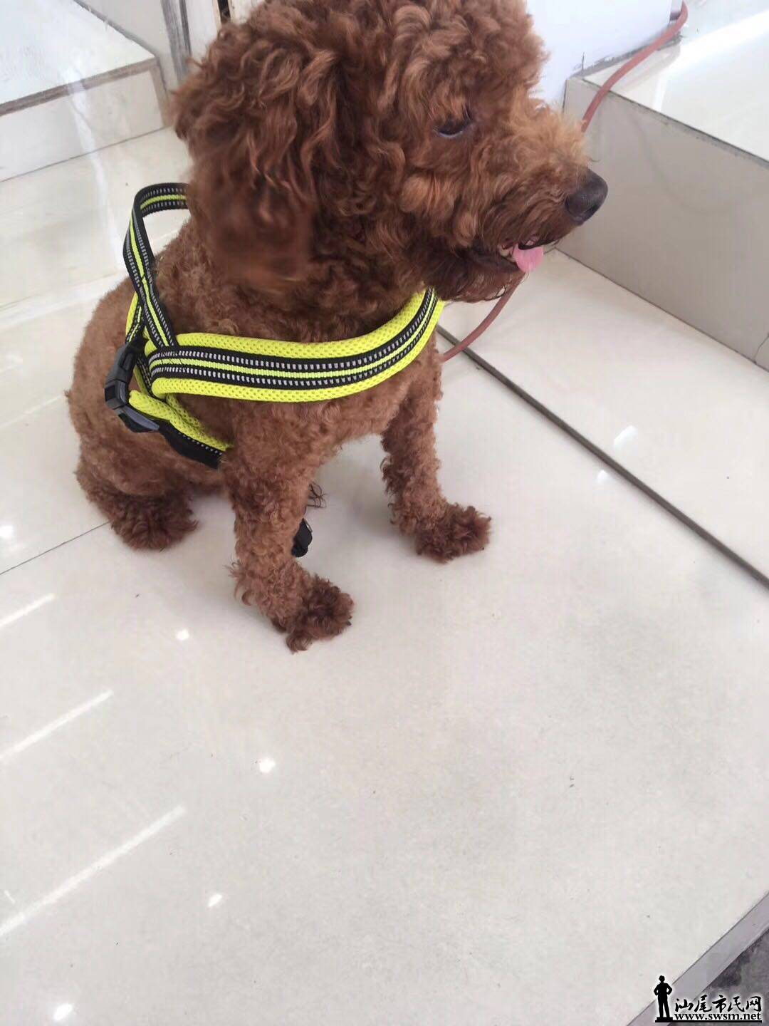 wechat_upload15659303435d563367c6bd5