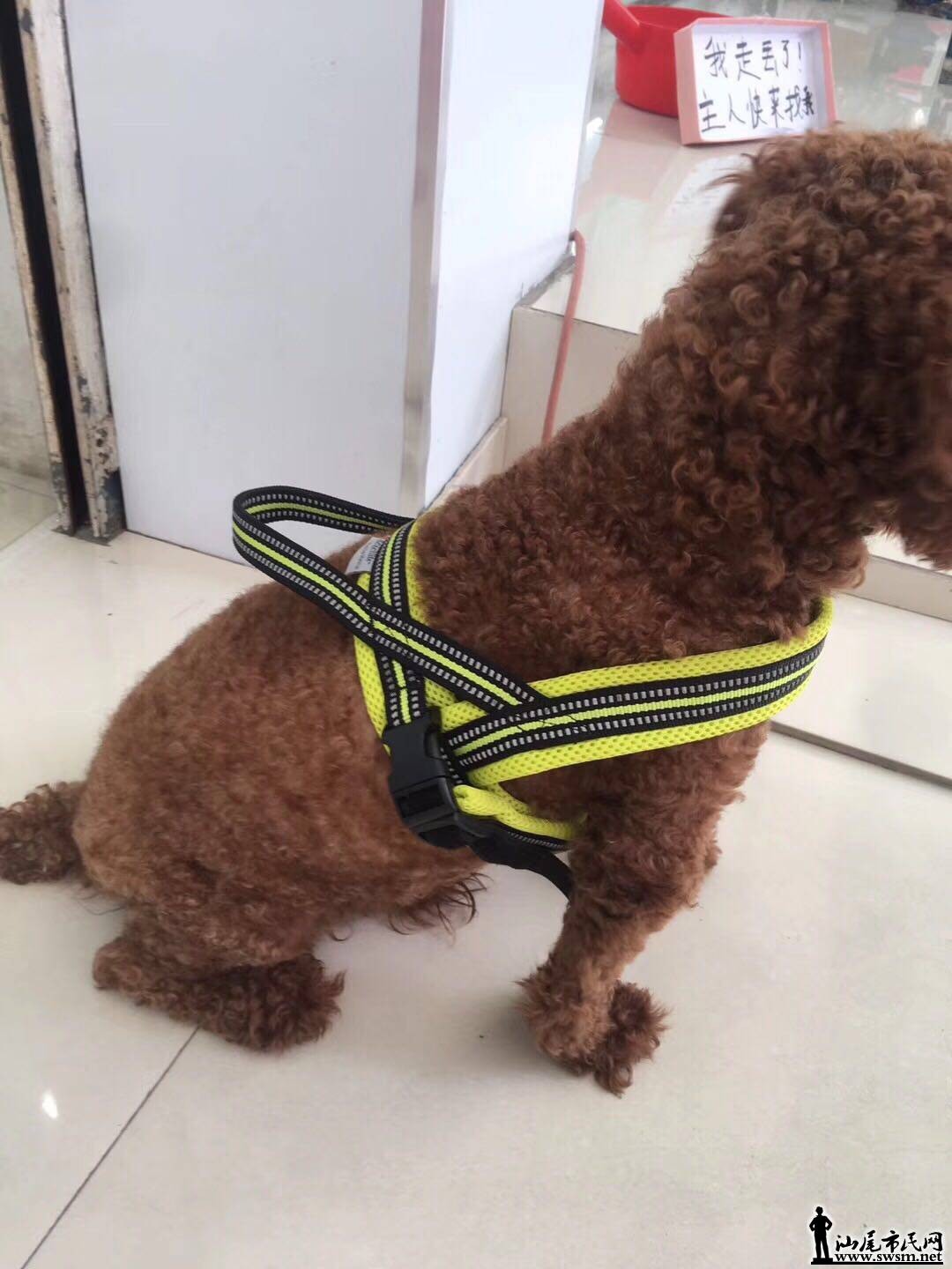 wechat_upload15659303445d5633680a443