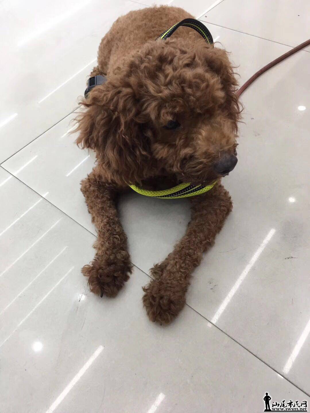 wechat_upload15659303445d5633683f5b9