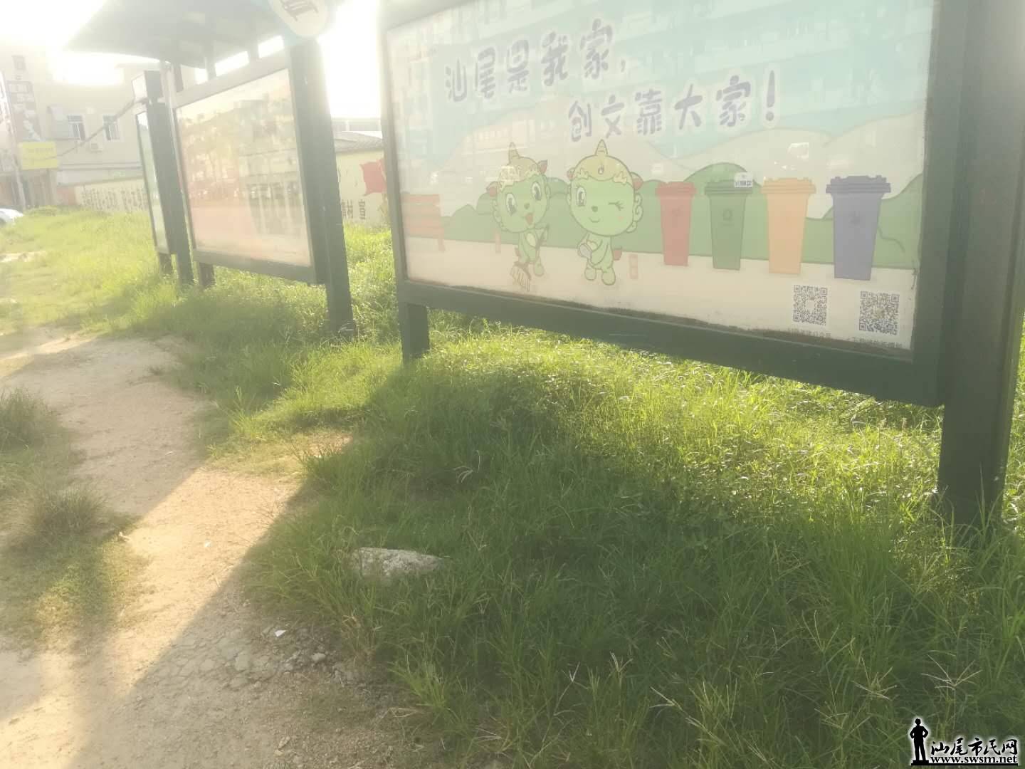 wechat_upload15682115095d79023550d42