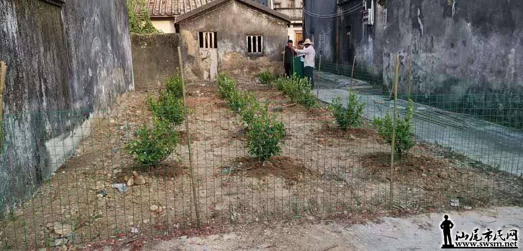 wechat_upload15724431755db99427256f0