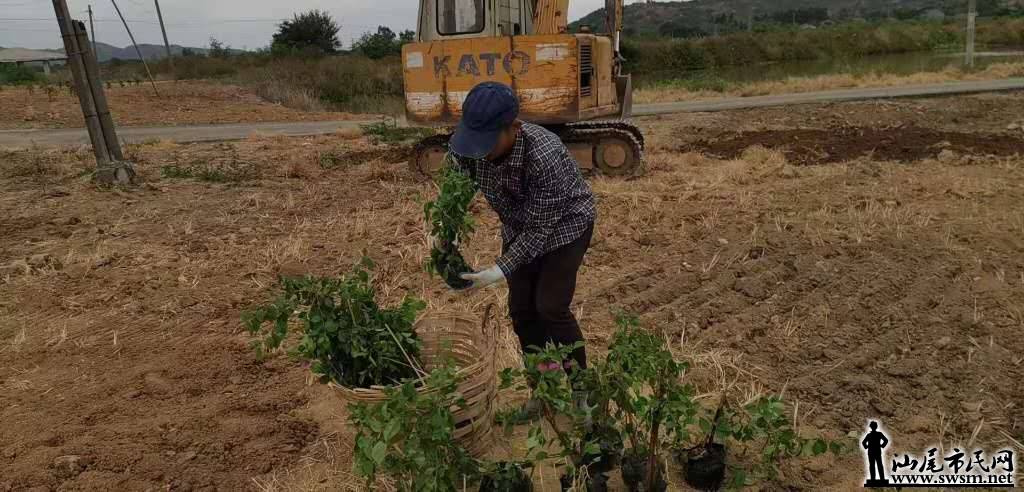 wechat_upload15724431755db9942704e5d