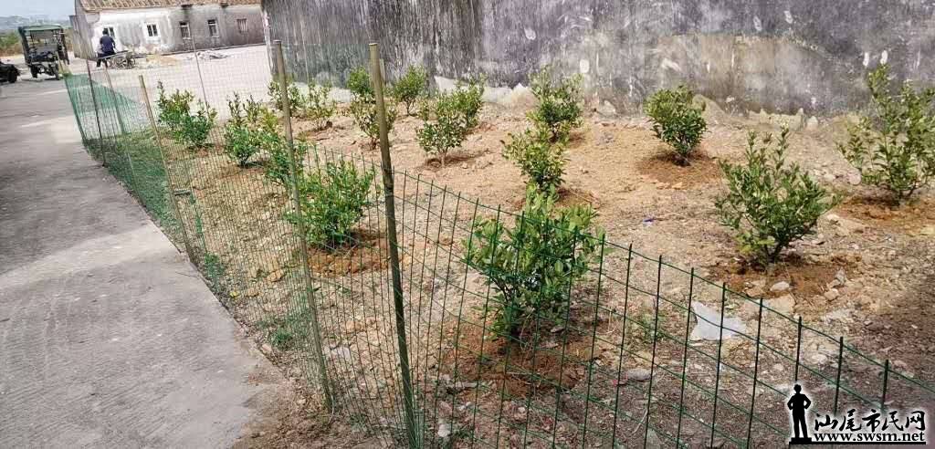 wechat_upload15724431755db99427522a8