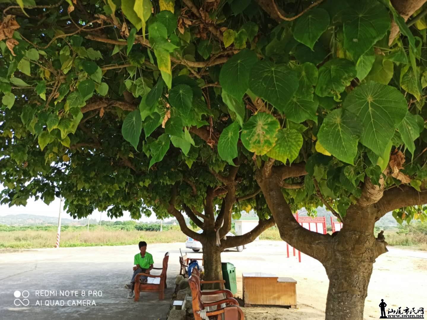 wechat_upload15725212255dbac509ebb37