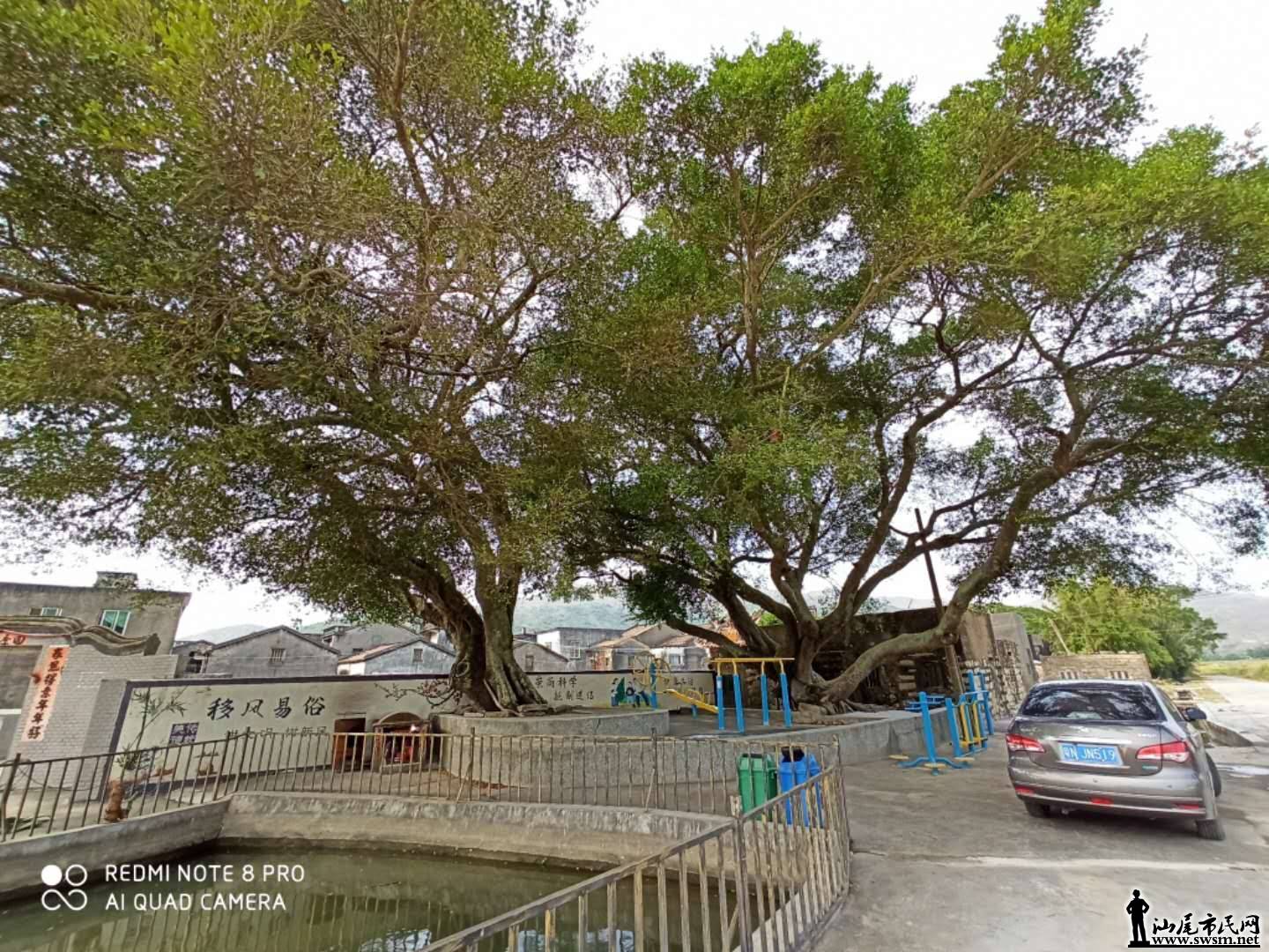 wechat_upload15725212255dbac50975924