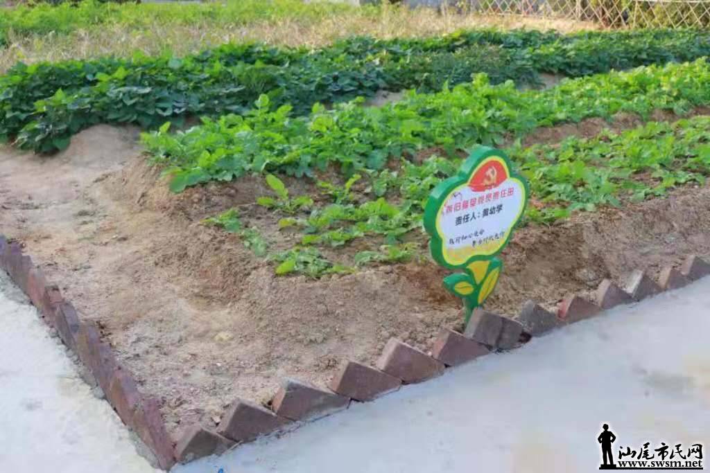 wechat_upload15741732735dd3fa594c26a