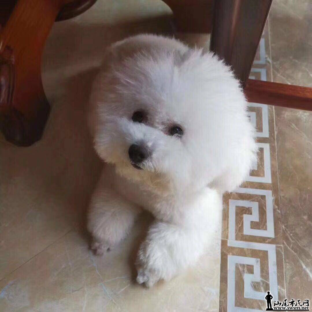 wechat_upload15771995465e0227baac8d7