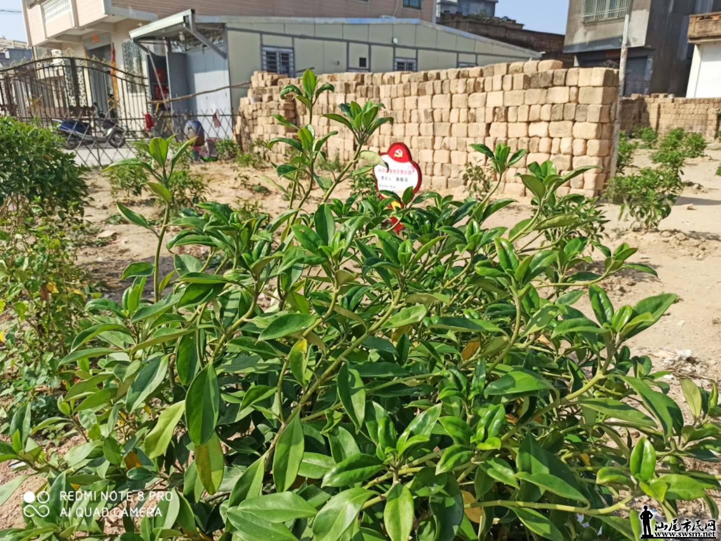 wechat_upload15772586105e030e7240f5b