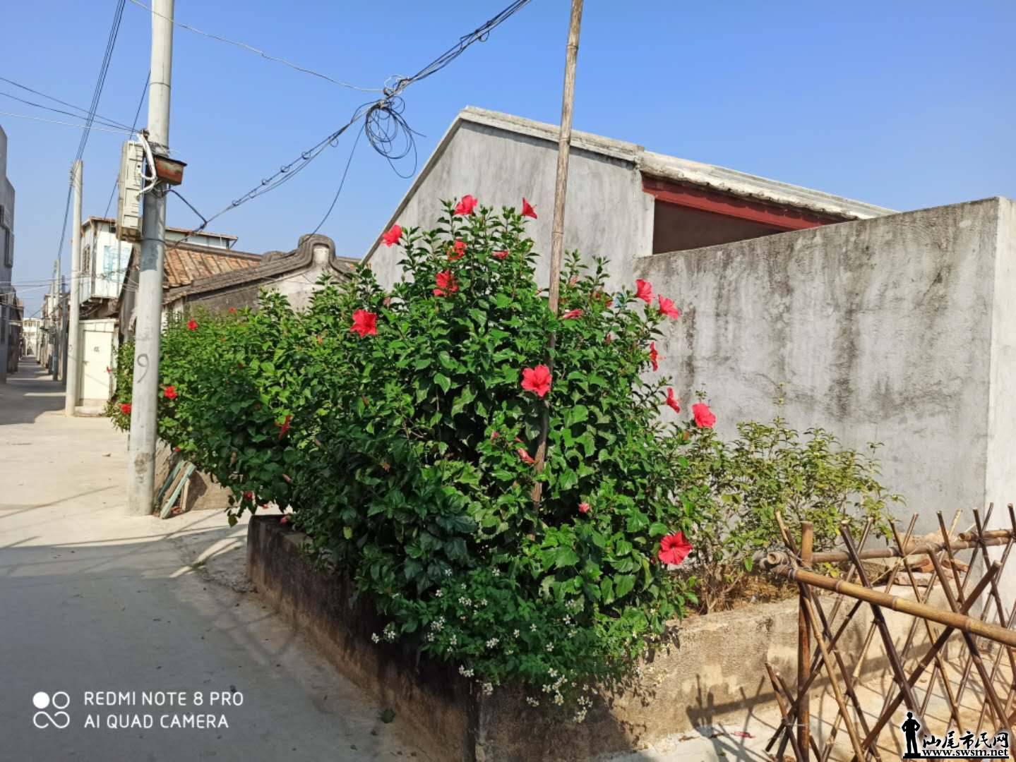 wechat_upload15772586115e030e73610a5