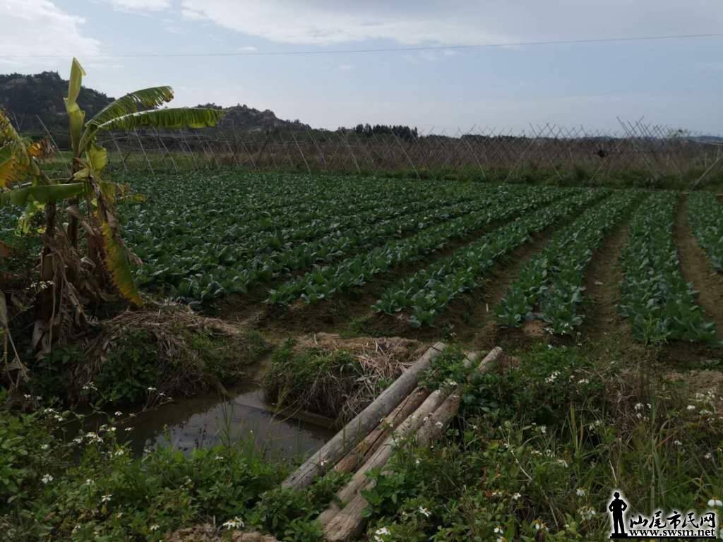 wechat_upload15834179885e610a84cccce