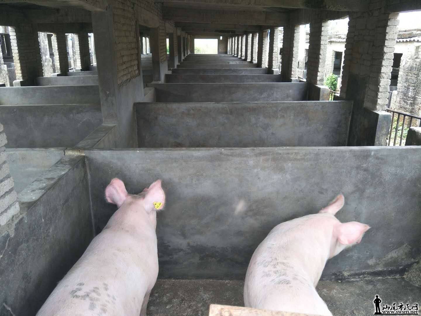 wechat_upload15838123515e670efff0a2f