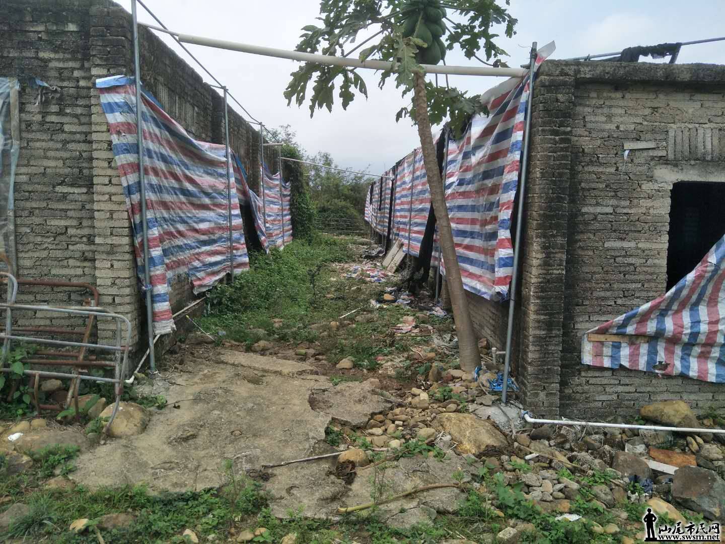 wechat_upload15838123525e670f0022104