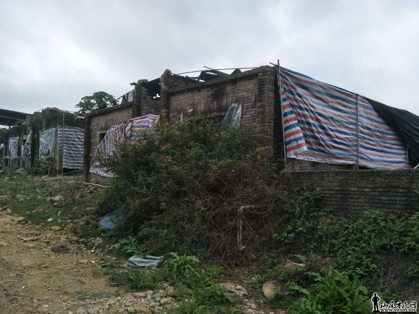 wechat_upload15838123525e670f005dc2e