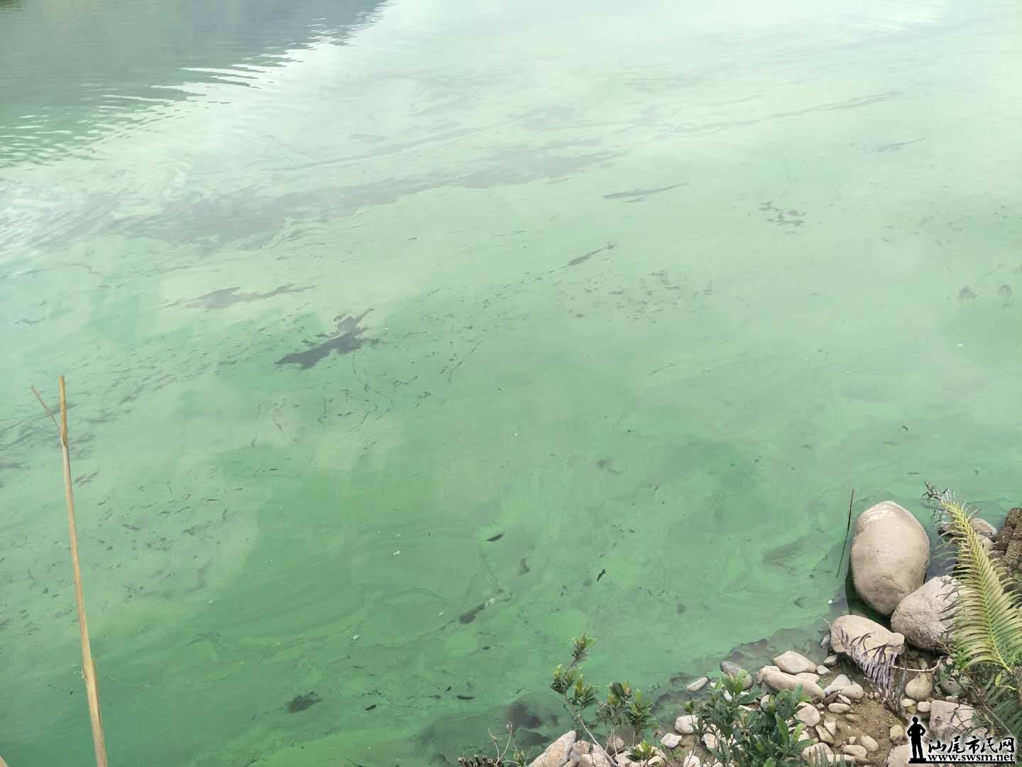 wechat_upload15838123525e670f002a0ec