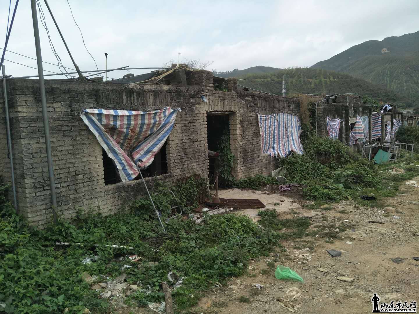 wechat_upload15838123525e670f005b39f