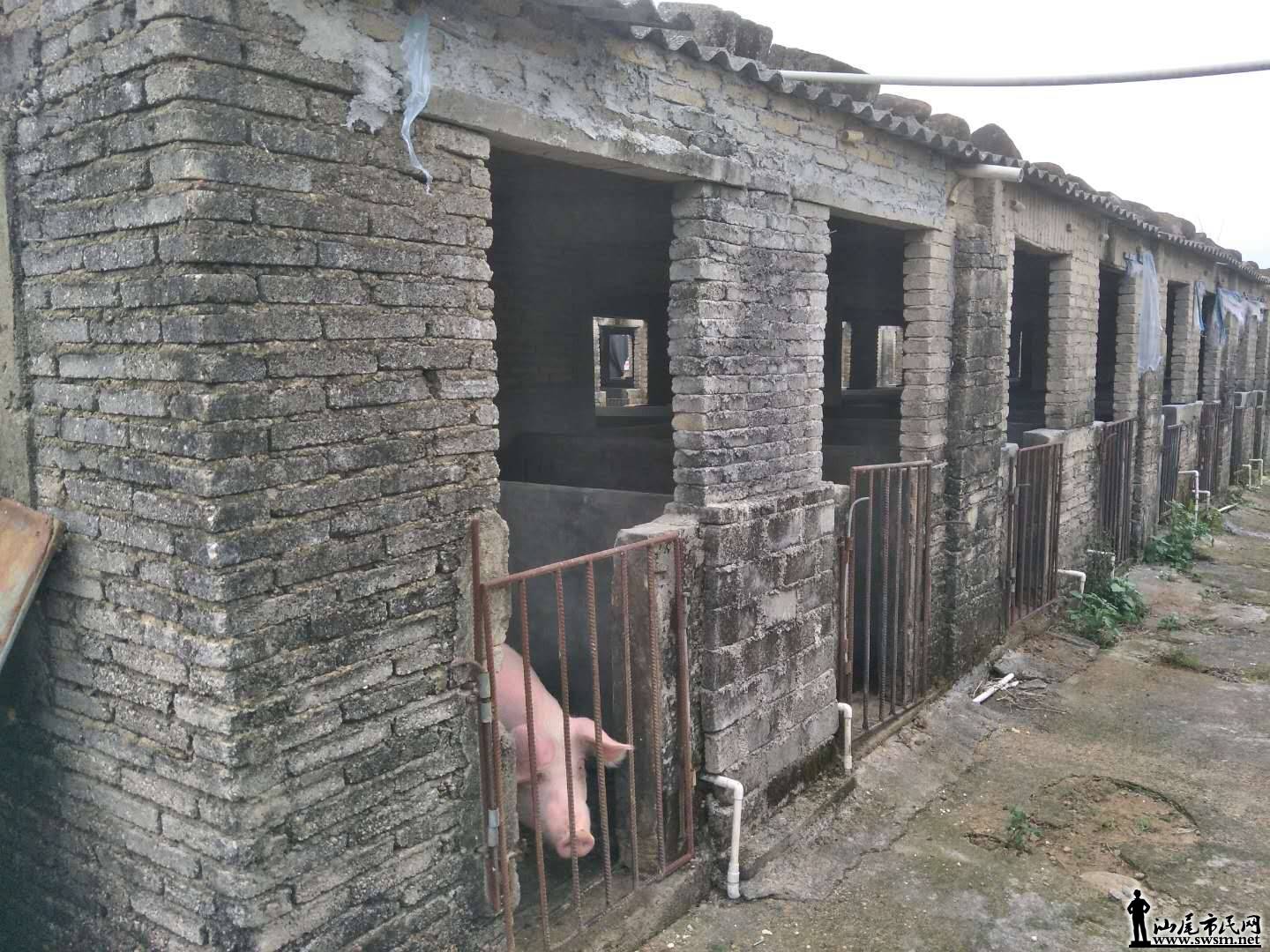 wechat_upload15838123525e670f00dac08