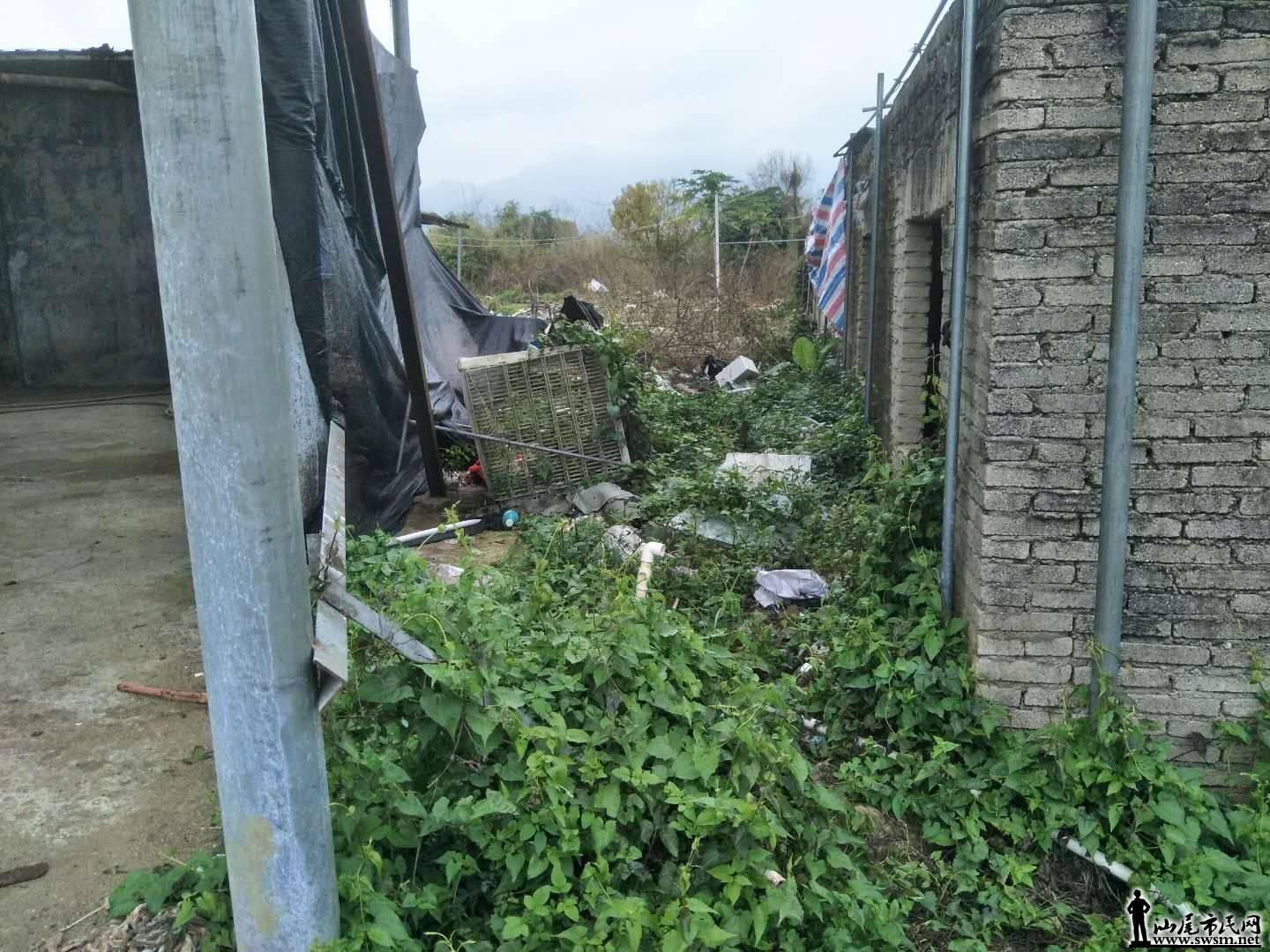 wechat_upload15838123535e670f012638f