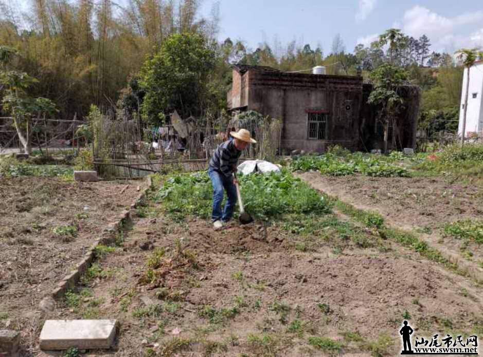 wechat_upload15843664325e6f83609f7f3