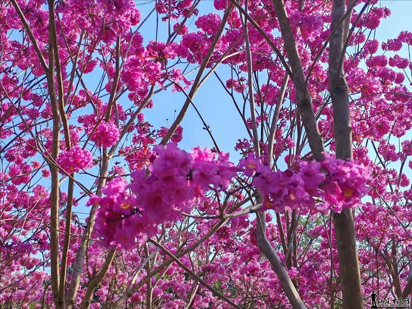 ͼƬѹ�� (6).jpeg