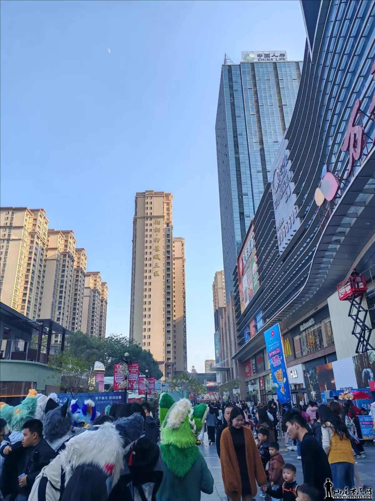 ͼƬѹ�� (11).jpeg